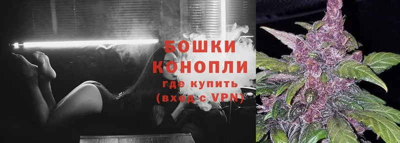 Каннабис OG Kush  сколько стоит  Домодедово 